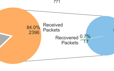Intrusion and risk assessment in capillary natural gas assets